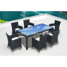 Outdoor mesa e cadeiras para a família com alumínio / SGS (8212-1)